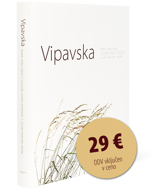 Monografija Vipavska - Fotografija knjige